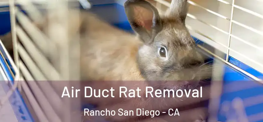  Air Duct Rat Removal Rancho San Diego - CA