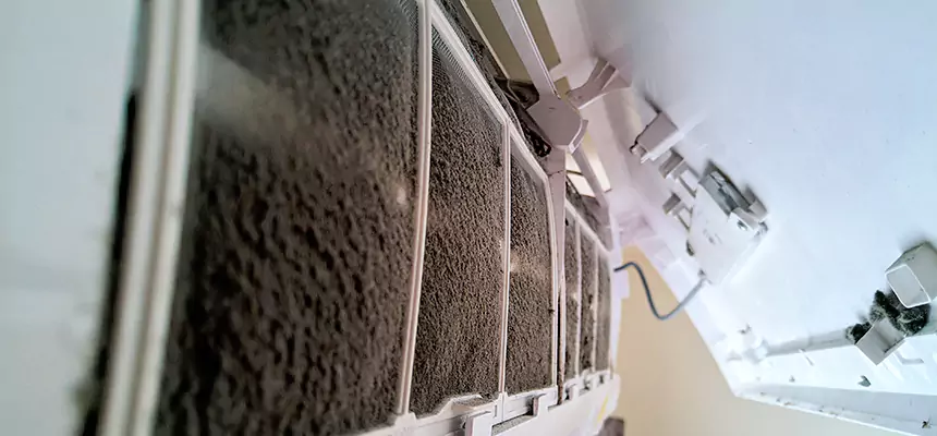 Preventive Air Duct Bacteria Removal in Rancho San Diego