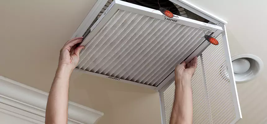 Preventive Cockroach-Proofing for Ducts in Rancho San Diego