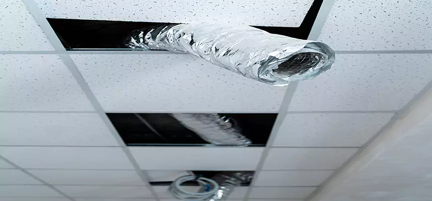 Our Air Duct Pet Hair Removal Services in Rancho San Diego, CA