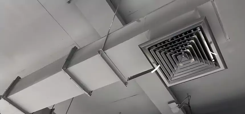 Our Rodent Droppings In Vents Services in Rancho San Diego, CA