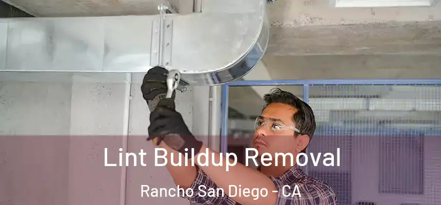  Lint Buildup Removal Rancho San Diego - CA
