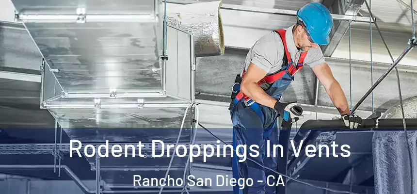  Rodent Droppings In Vents Rancho San Diego - CA