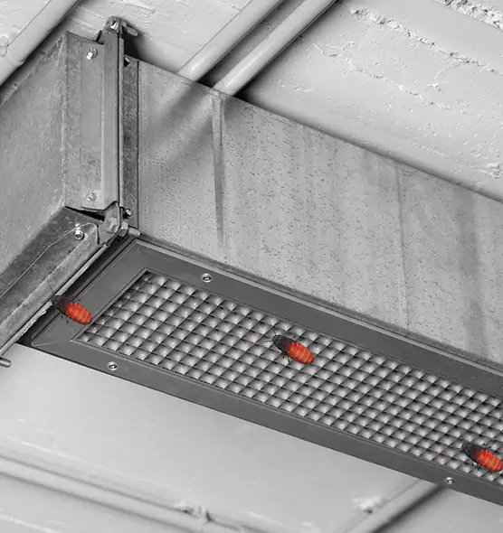 About Air Duct Cockroach Removal in Rancho San Diego, CA