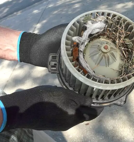 About Air Duct Rat Removal in Rancho San Diego, CA