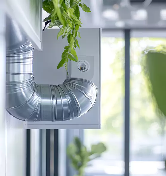 Professional Eco-Safe Dryer Vent Cleaning in Rancho San Diego, CA