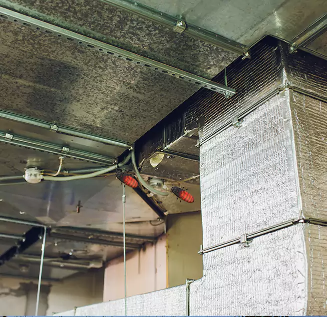 Why Homeowners & Businesses Trust Us in Rancho San Diego, CA?