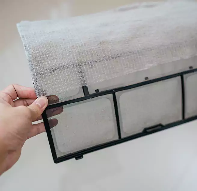 Why Homeowners & Businesses Trust Us in Rancho San Diego, CA?