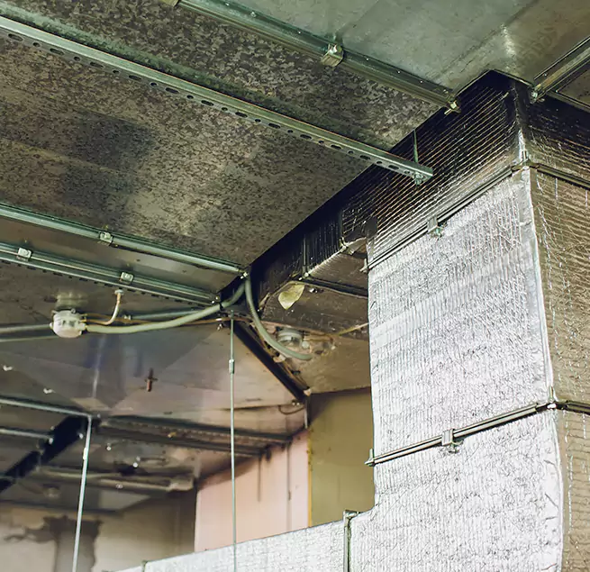 Why Homeowners & Businesses Trust Us in Rancho San Diego, CA?