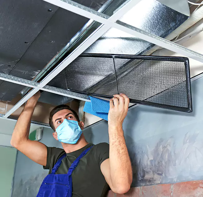 Why Homeowners & Businesses Trust Us in Rancho San Diego, CA?